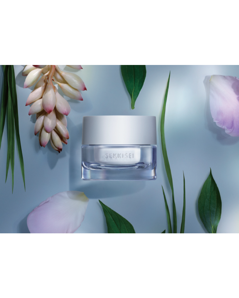 CLEAR WELLNESS Overnight Cream